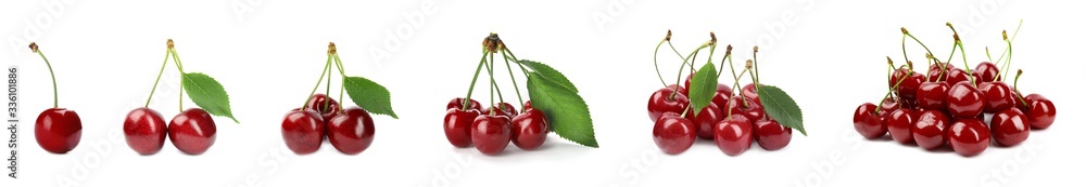 Set of ripe cherries on white background. Banner design Set of ripe cherries on white background. Banner design