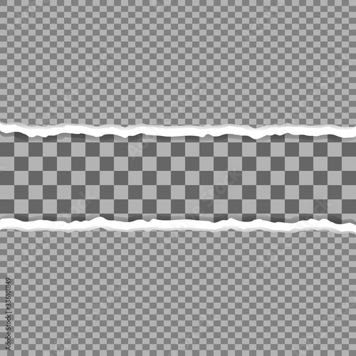 Torn a half sheet on transparenty background
