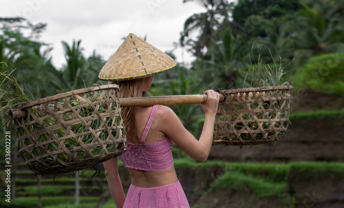 Beautiful blond woman in the rice field. A tourist girl in rice fields. Rice Terrace in Ubud, Bali, Indonesia. View from the back. Green nature background. 
