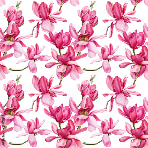 seamless pattern of pink magnolia on an isolated white background  watercolor flowers