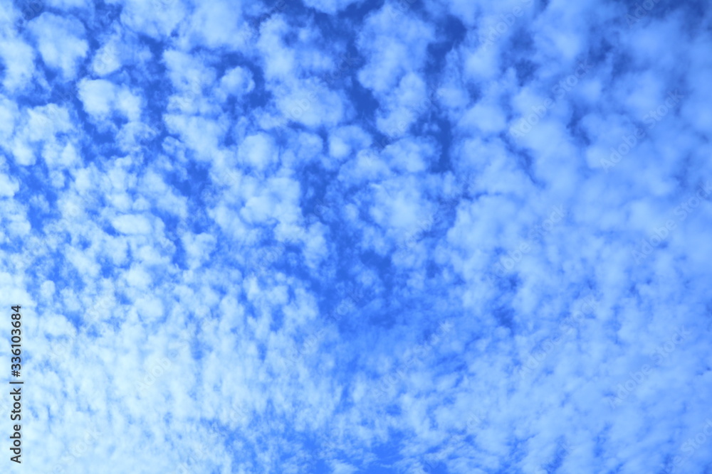 夏の雲 夏の雲