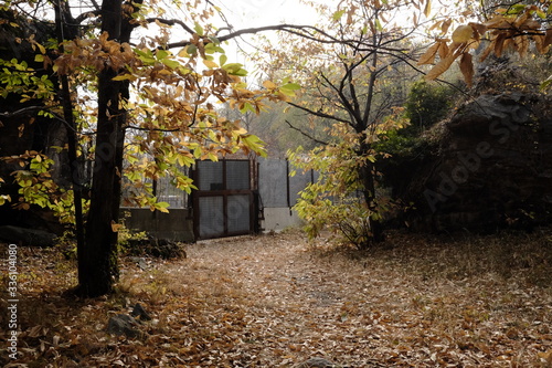 Картината върху платно Chiomonte tav worksite