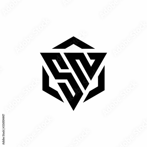 SN Logo monogram with triangle and hexagon modern design template