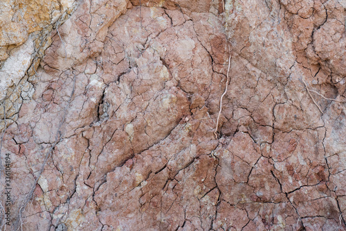 Texture of natural rock shell of rocky rock, marine life structure with limestone and traces of erosion.