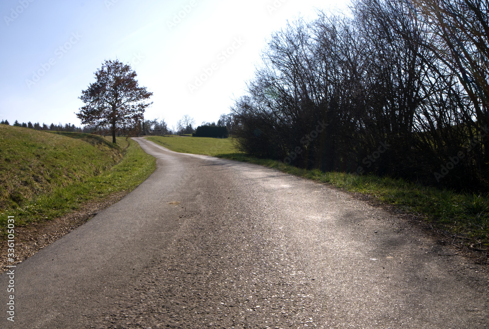 long old small road with one tree and bushes on the right side