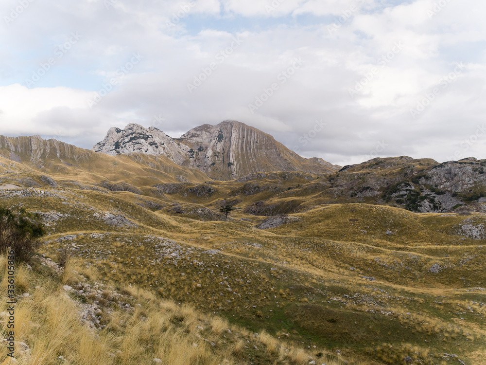 Obraz premium Landscape of Durmitor National Park. Montenegro