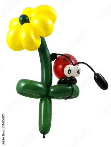 Ballontiere - ein kleiner süßer lustiger Käfer - Marienkäfer auf einer Sonnenblume
