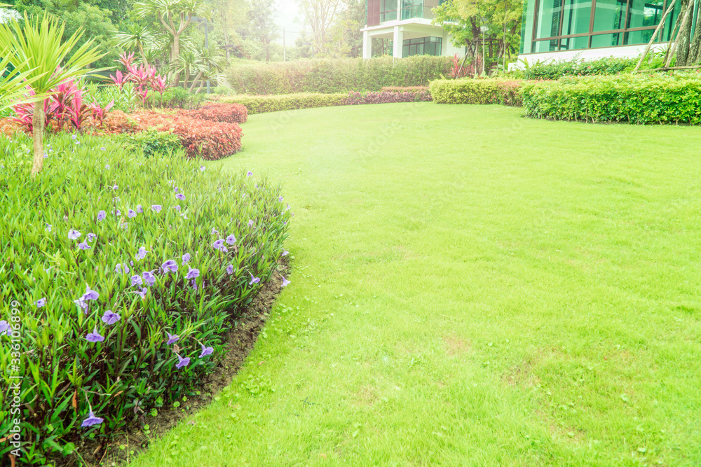 Obraz premium The sunshine in the evening shines through the trees down to the lawn of the front of the house beautifully, green lawn, front lawn for the background, designed a beautiful shady landscape garden.