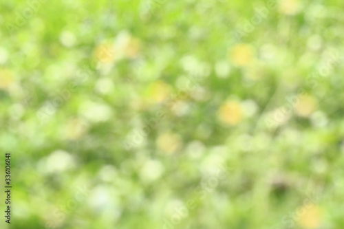  green blurred background.
