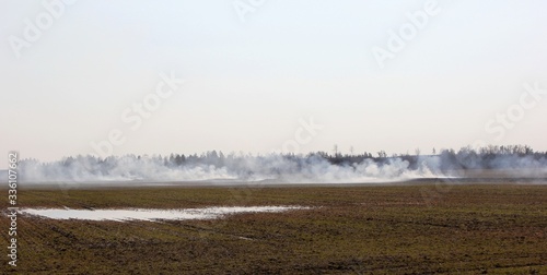 Burning field with old dry grass on fire at spring time in Latvia 