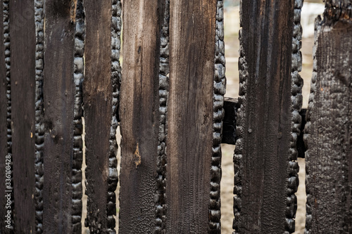 Burnt fence boards after a fire in a private house. © YouraPechkin