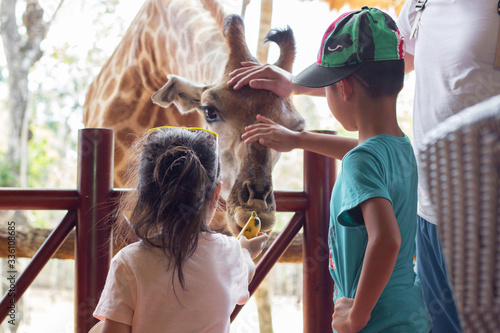 Asian cute baby girl feeding giraffe in Safari zoo park, summer vacation holiday travel, family life style concept.