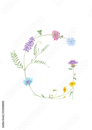 Watercolor hand drawn wild meadow flower alphabet collection. Letter G (chicory, cow vetch, dandelion, clover, knapweed) isolated on white background. Monogram element for summer design.