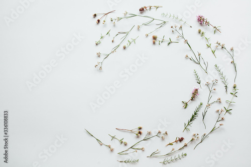 Colorful pattern of field flowers on a white background