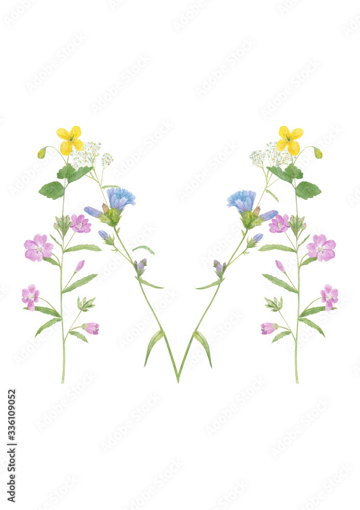 Watercolor hand drawn wild meadow flower alphabet collection. Letter M (chicory, celandine, fireweed, yarrow)  isolated on white background. Monogram element for summer design.