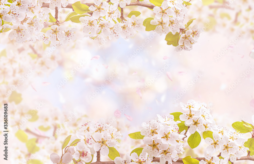 Branches of blossoming cherry against background. Concept Spring banner for products display or advertising. Copy space