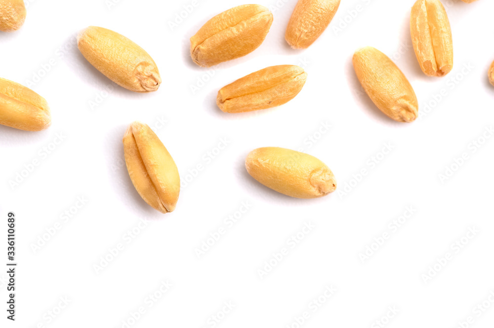 Obraz premium Seed of Wheat grain on white