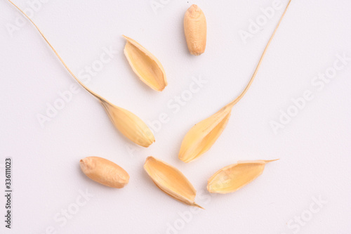 Seed of Wheat grain on white