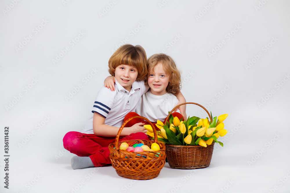 Two little boys are sitting with a basket of Easter eggs and a basket of tulips. White background. Funny moments Two little boys are sitting with a basket of Easter eggs and a basket of tulips. White background. Funny moments
