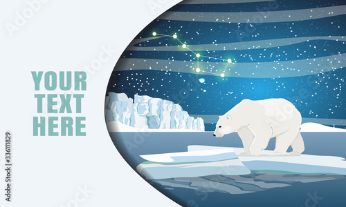 Landing page template with multi-level shadows and the image of a polar bear on an ice floe. Dark northern sky with the constellation Ursa Major. Vector illustration