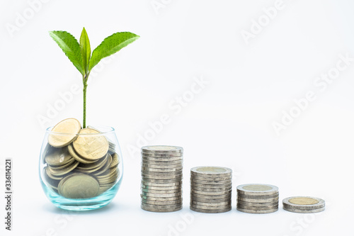 Seedlings in glass bottles Symbol for business growth. Investment concept for growth and saving money. Space for text input.