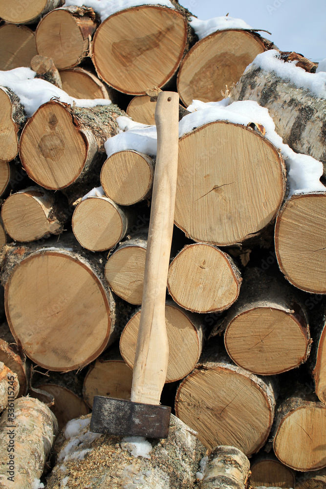 Sawn tree trunks for logging. Country life. Ax on a woodpile.
Sawn tree trunks for logging. Country life. Ax on a woodpile.