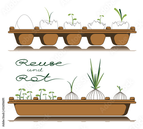 Garden in the flat.  Ecology lifestyle. Reuse and rot of eggshells. Line plants in the eggs container. 