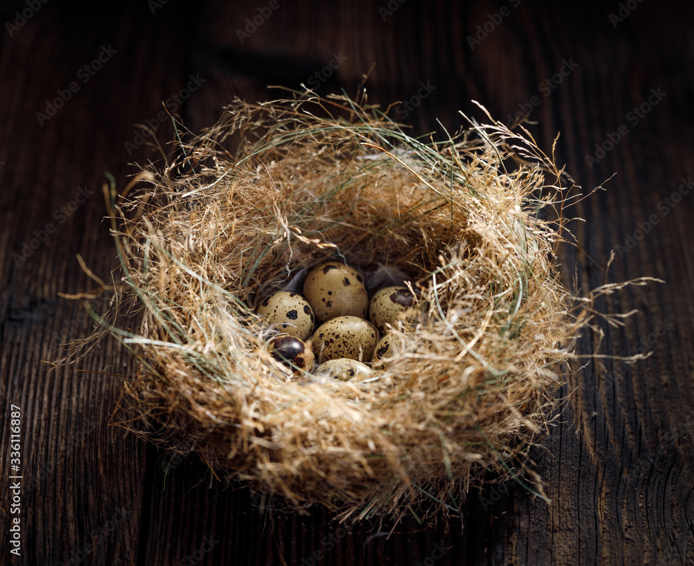 Stylized nest with quail eggs on a wooden rustic background, close up view. Easter decoration Stylized nest with quail eggs on a wooden rustic background, close up view. Easter decoration