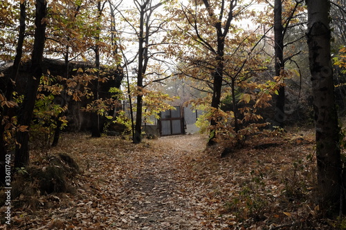 Chiomonte tav worksite