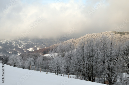 Winter in the Bieszczady National Park © Dariusz