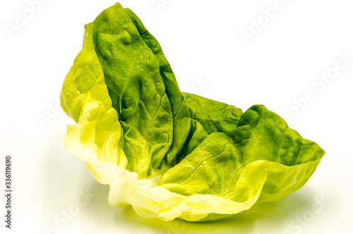 Fresh green lettuce salad leaf photo