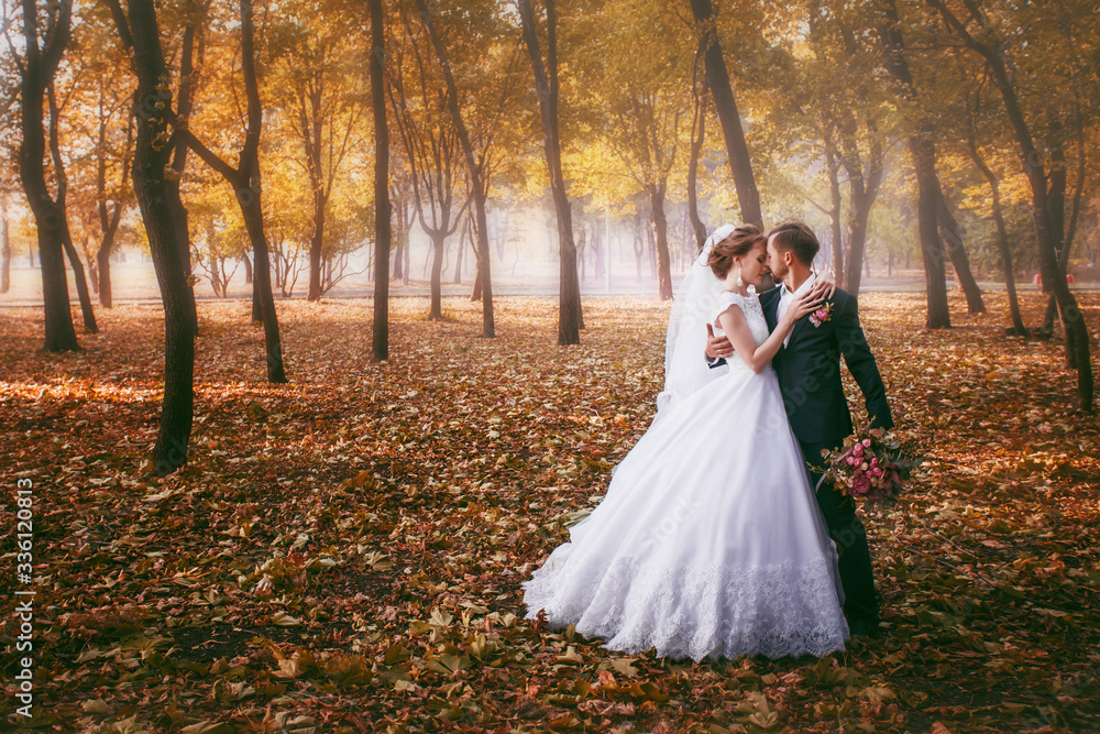 Happy couple on wedding day. Walk the bride and groom in the national park in autumn. Beautiful wedding.