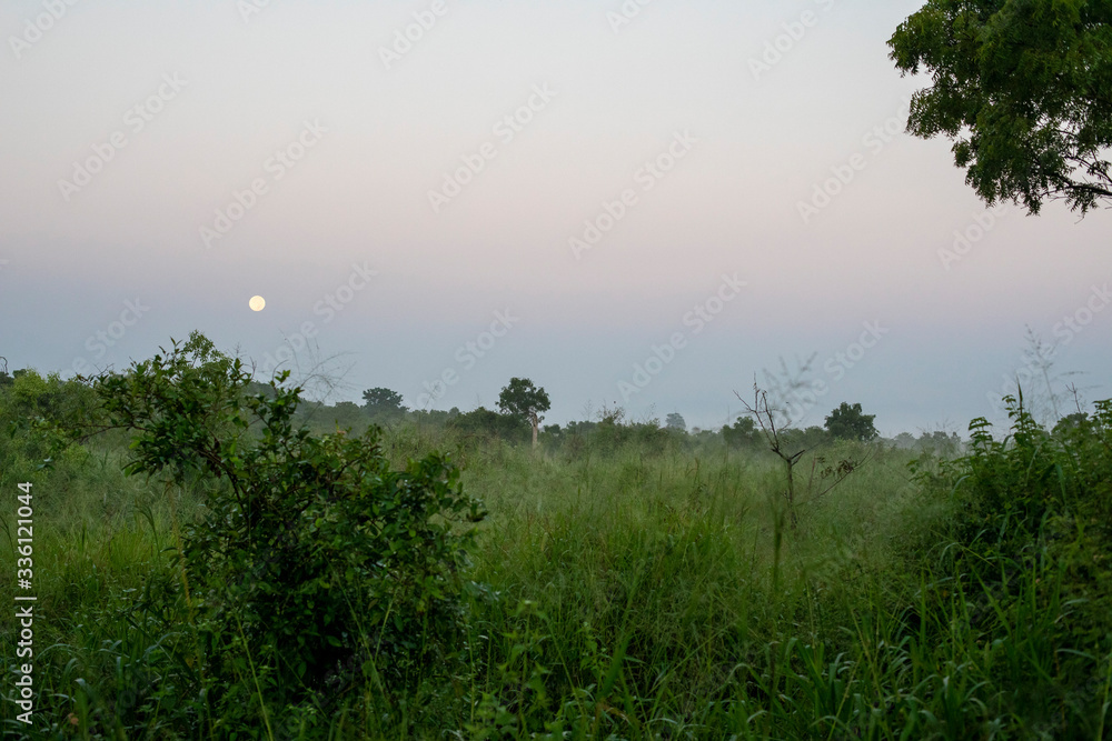 Obraz premium Sri Lanka 