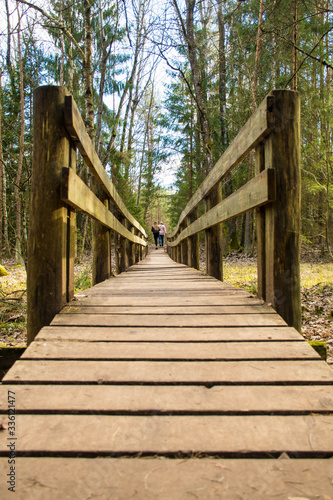 Wooden path in Trakai historical national park, botanical zoological reserve, cognitive trail, long winding path over the bog in the forest, vertical