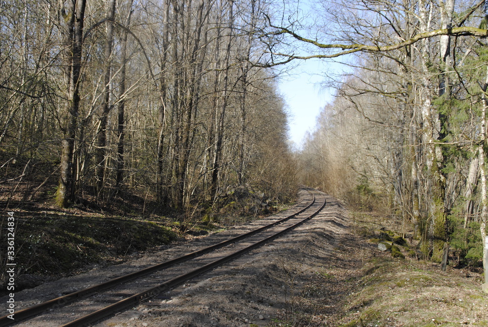 Fototapeta premium old train track