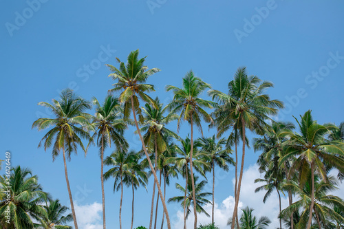 Sri Lanka 