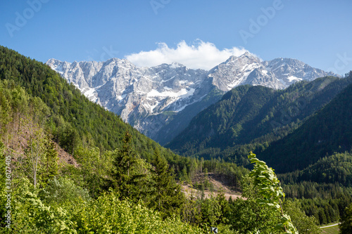 Summer in Jezersko, Slovenia mountain valley pasture with Kamnik-Savinja Alps © 24K-Production