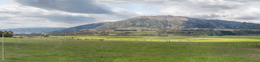 large herds and irrigation plant in green countryside, near Luggate, New Zealand