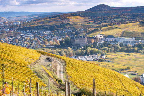 Blick vom Weinberg auf das Ahrtal photo