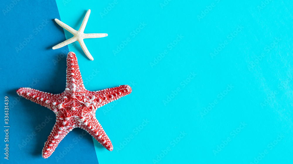 Starfishes on blue paper background with free space for text. Travel and summer background concept. Starfishes on blue paper background with free space for text. Travel and summer background concept.
