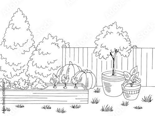 Market garden graphic black white landscape sketch illustration vector