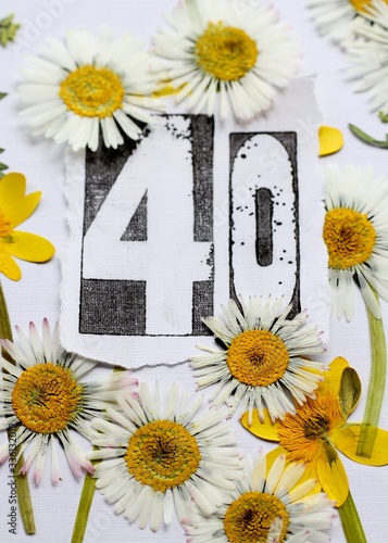 Fortieth  birthday card image, a stamped number forty  surrounded by pressed flowers, daisies and yellow lesser celandine wildflowers . A nature inspired, fresh background.  