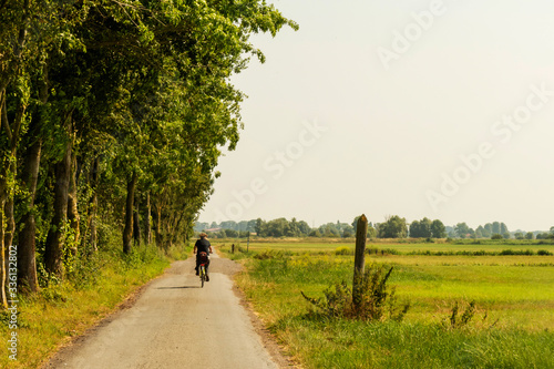 Quadro em tela Rural landscape in West Flanders, Belgium near Beveringe with a cycling tourist