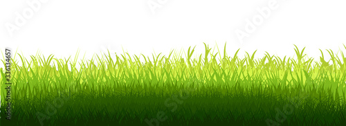 Grass field lit by the sun. Small hill. Vector isolated. Green dense juicy lawn grass. Spring Summer. Isolated. Grassland landscape. Meadow. Horizontal Herbs Garden.
