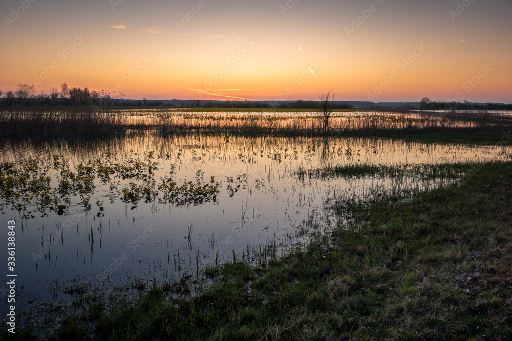 Backwaters of the Narew River at sunrise in Strekowa Gora, Podlaskie, Poland