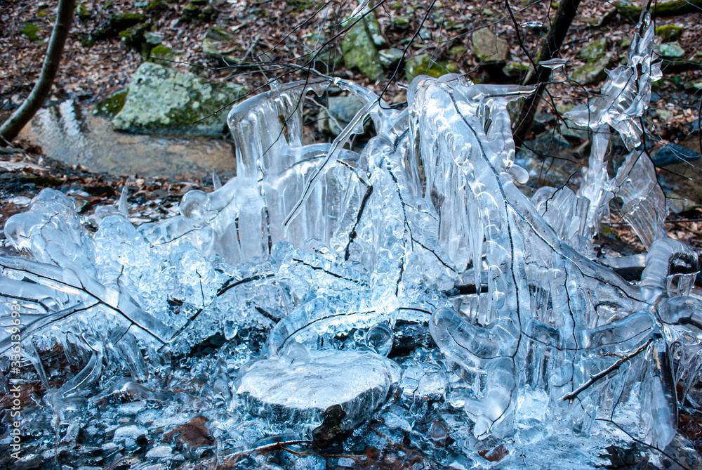Ice forming on branches in early spring Ice forming on branches in early spring