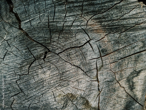 log and cracked logs