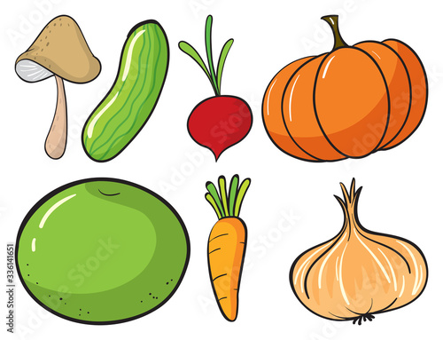 Large set of fruits and vegetables on white background
