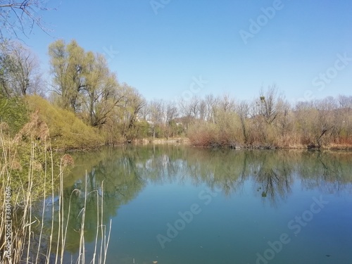 Naturspiegelung im See