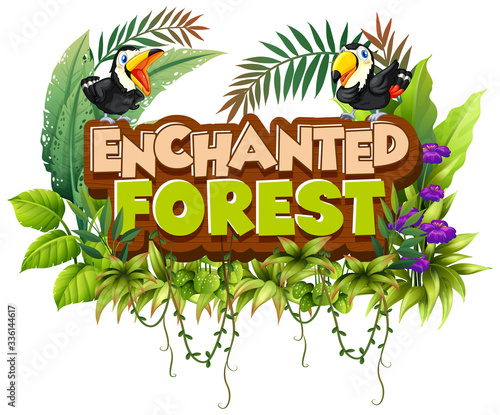 Font design for word enchanted forest with toucan birds in the forest